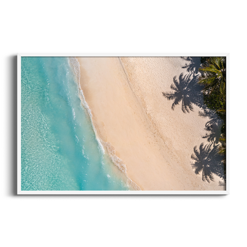 Palm Tree Beach Aerial Drone Art Print Wallpaper Store