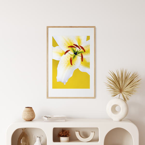 Floral Art Prints