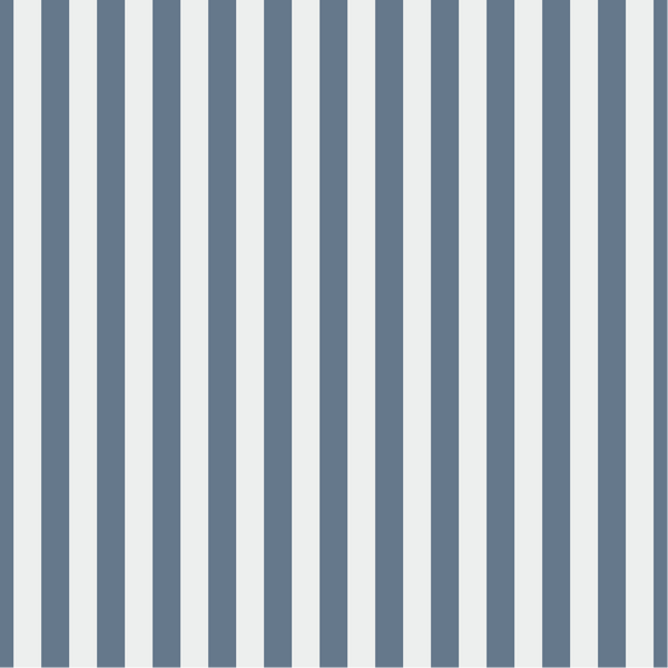 Enterprise - Stripes (Narrow)