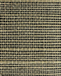 Sisal Grasscloth Wallpaper N168NS7009