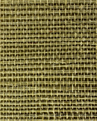 Sisal Grasscloth Wallpaper N168NS7009