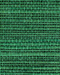Sisal Grasscloth Wallpaper N168NS7009
