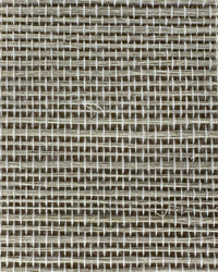 Sisal Grasscloth Wallpaper N168NS7009