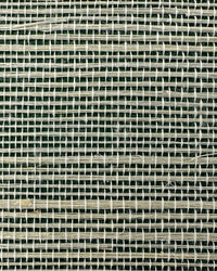 Sisal Grasscloth Wallpaper N168NS7009