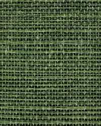 Sisal Grasscloth Wallpaper N168NS7009
