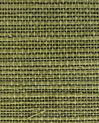 Sisal Grasscloth Wallpaper N168NS7009