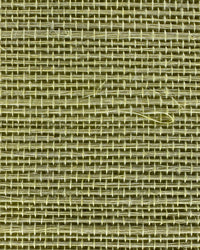 Sisal Grasscloth Wallpaper N168NS7009