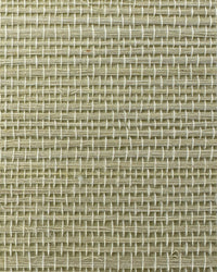 Sisal Grasscloth Wallpaper N168NS7009