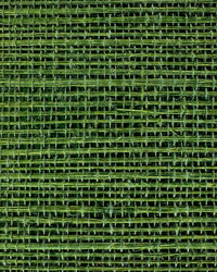 Sisal Grasscloth Wallpaper N168NS7009