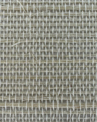 Sisal Grasscloth Wallpaper N168NS7009