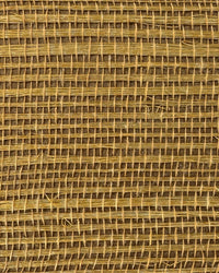 Sisal Grasscloth Wallpaper N168NS7009
