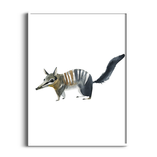 Numbat | Australian Animals Art Print