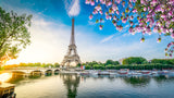 Paris Wallpaper Mural