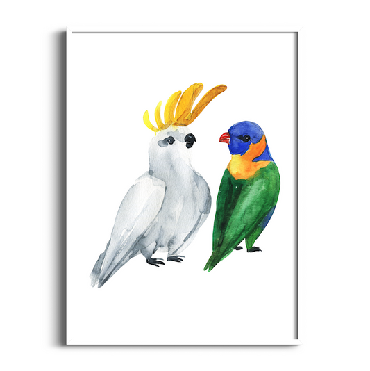 Parrots | Australian Animals Art Print