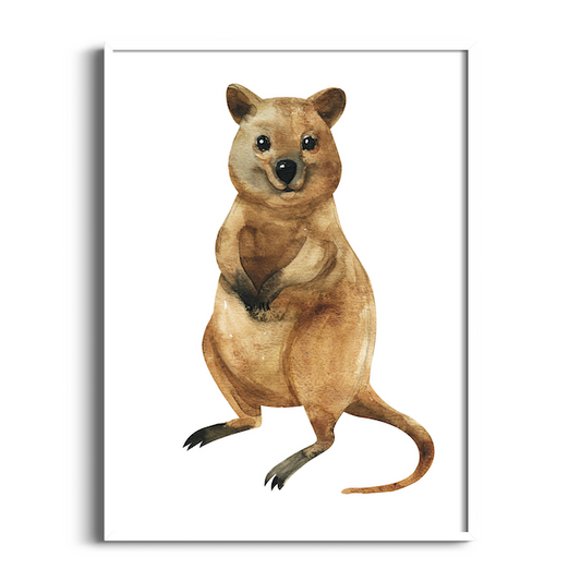 Quokka | Australian Animals Art Print
