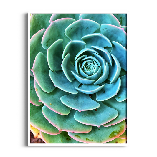 Cactus | Floral Art Print