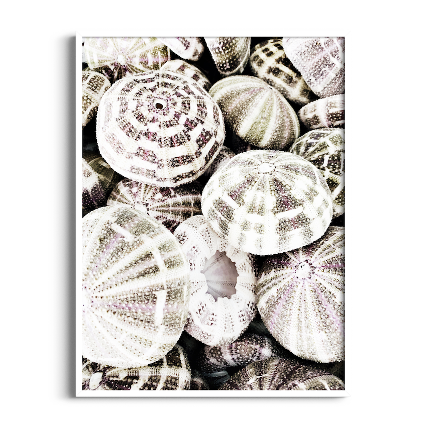 Anna Maria Island | Hamptons Art Print – Wallpaper Store