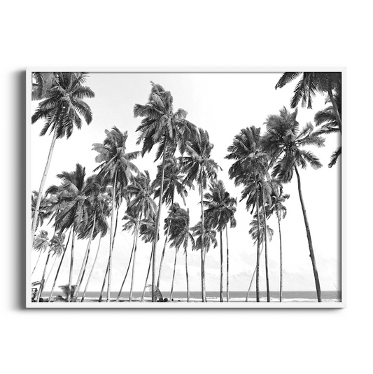Coconut Beach | Black and White Art Print