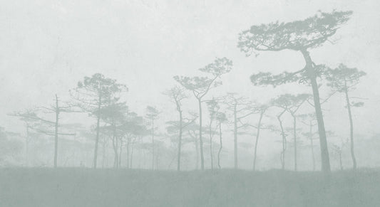 Mystical Forest