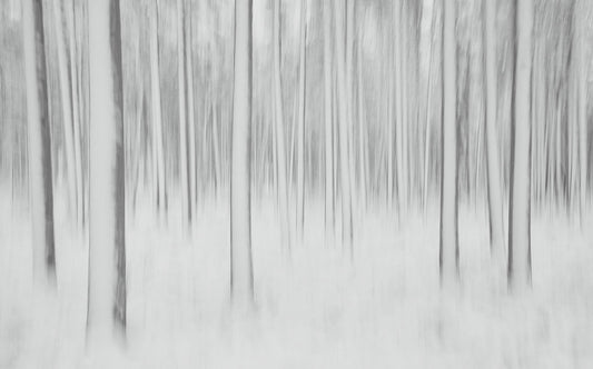 Woods