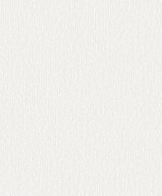 Echo