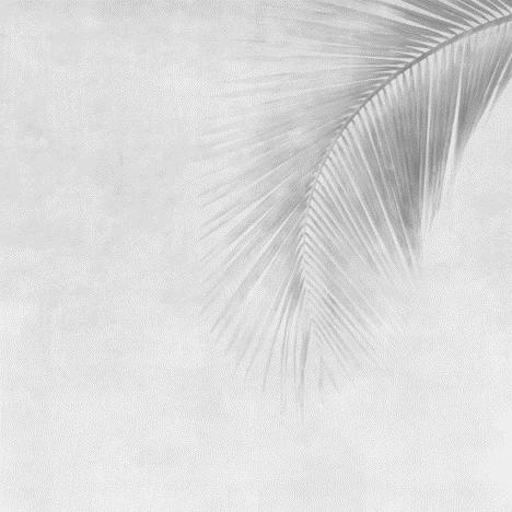 Serenity II