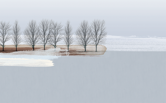 Winter Forest